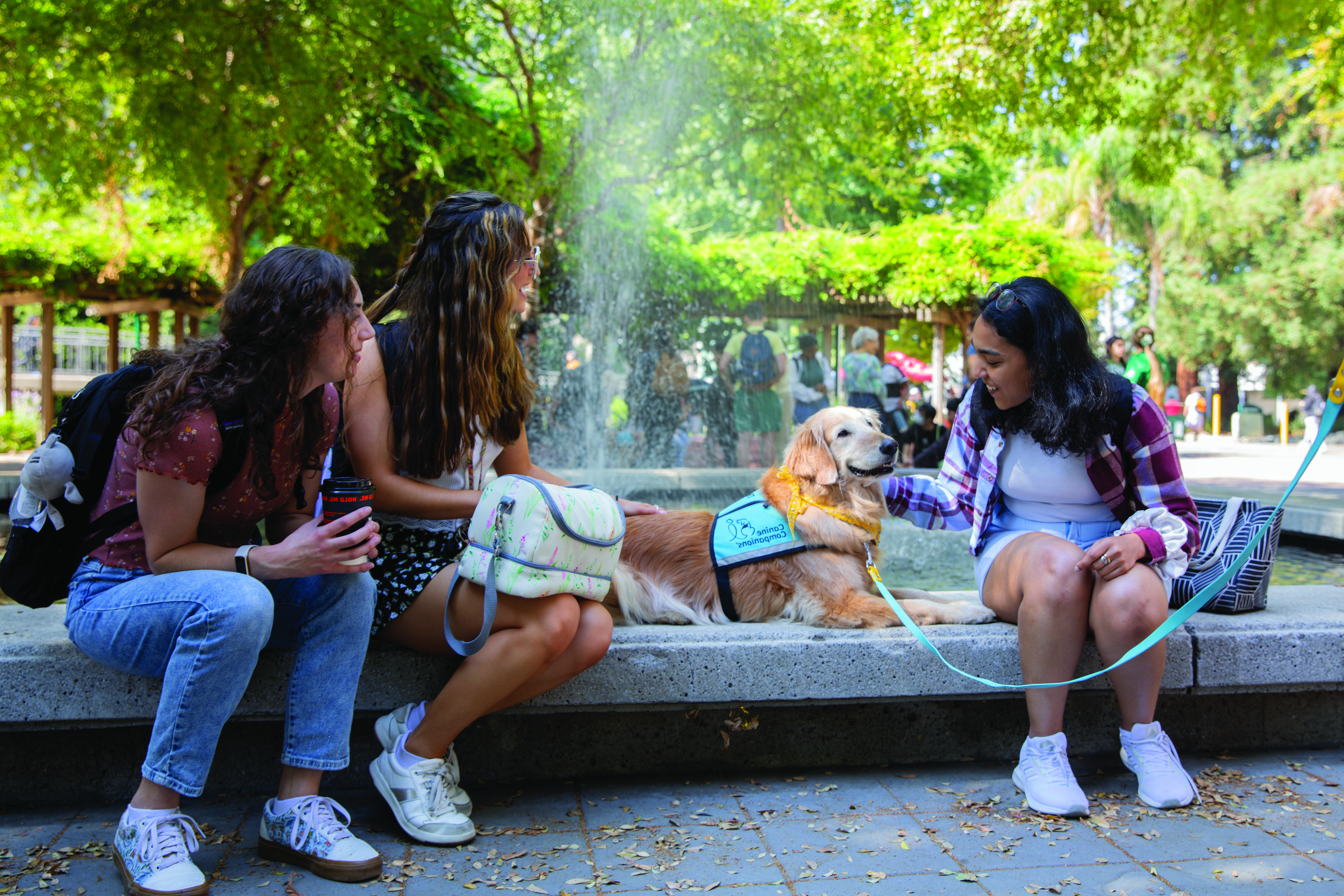 Photo: students on campus with service dog