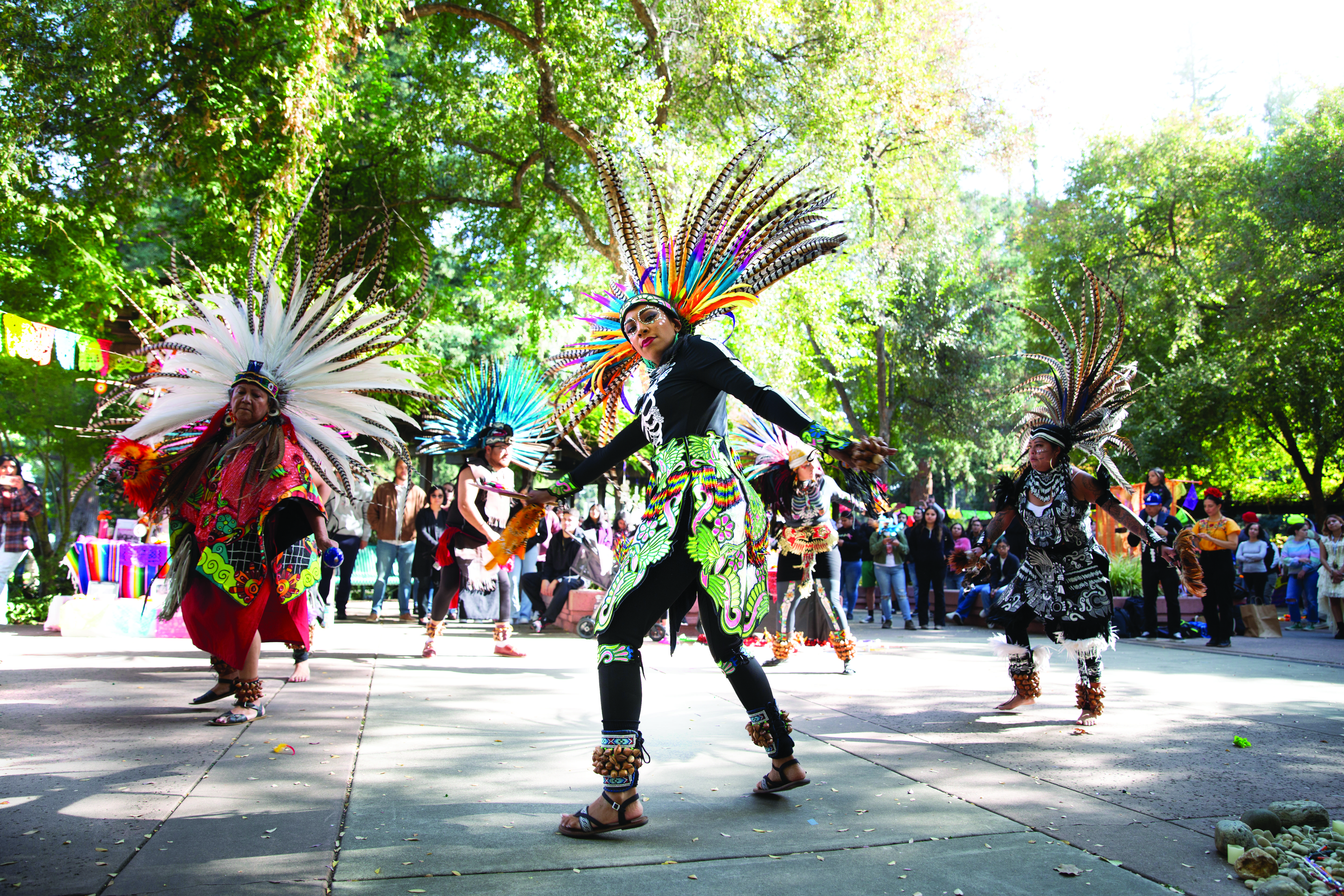 Photo: Native American cultural dance performance